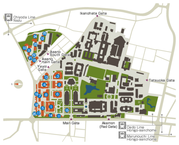 Inside Hongo Campus