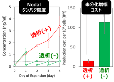 ヒトiPS細胞の超高密度培養による培養コスト大幅削減：未分化