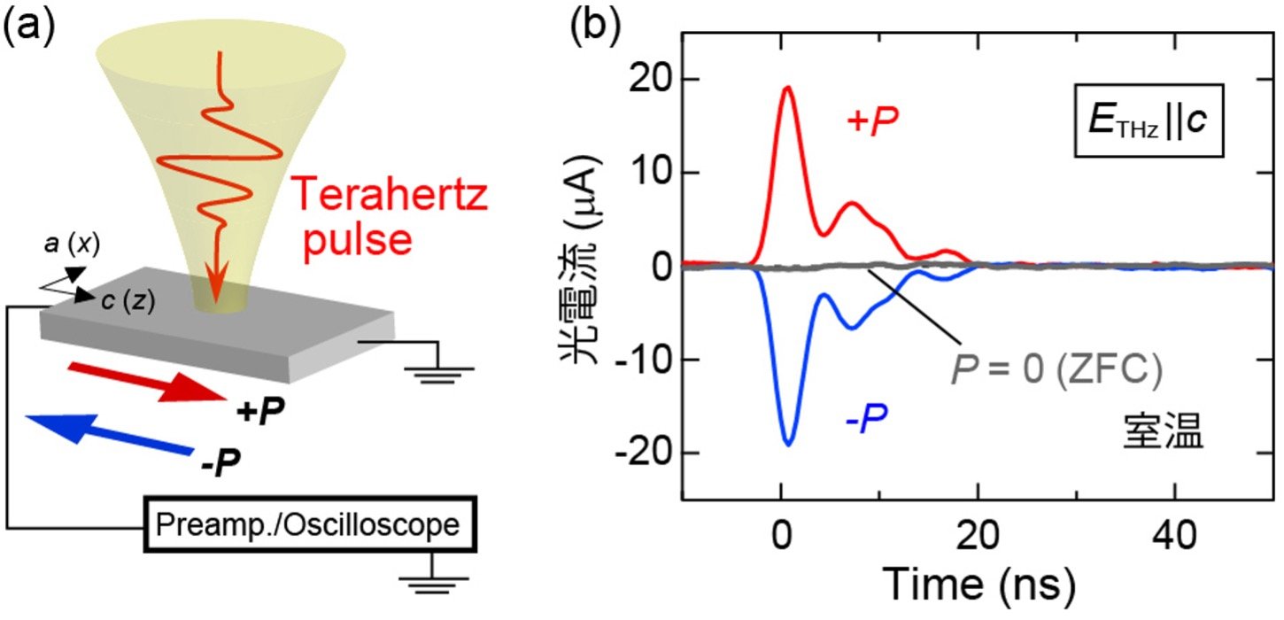 テラヘルツ光を電流へ変換する新原理の発見〜量子位相効果を用いた格子振動による光起電力効果の実証〜