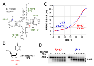 fig1