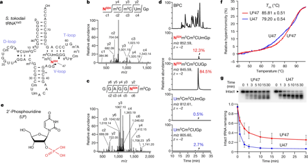 fig1en