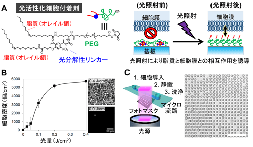 fig1