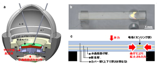 fig2