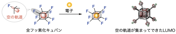 fig1