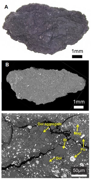 science.abn8671-f1