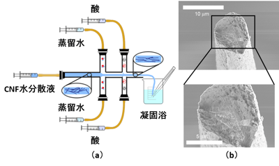 fig1