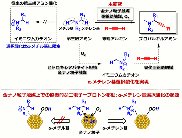 fig1