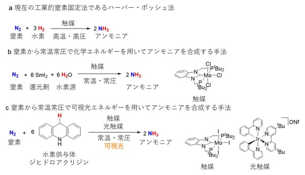 fig1