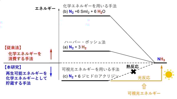 fig2