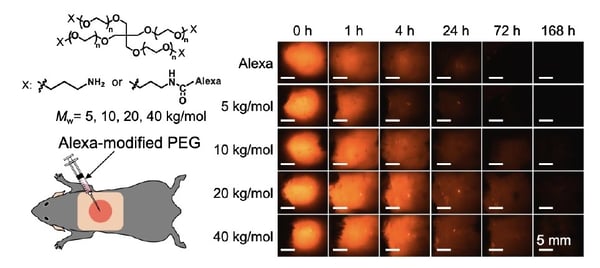 fig01