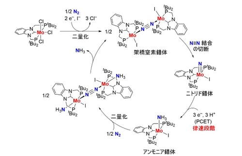 fig3