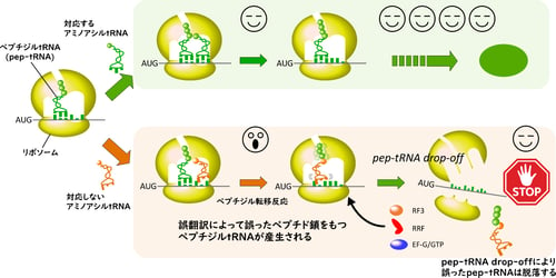 fig1