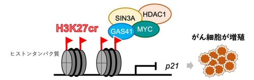 fig01