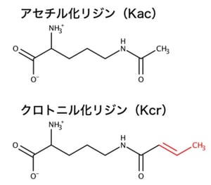 fig02