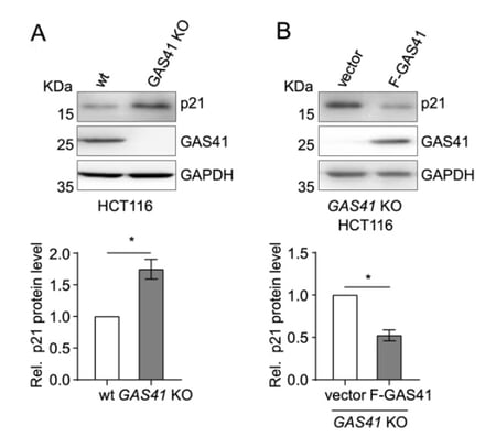 fig03