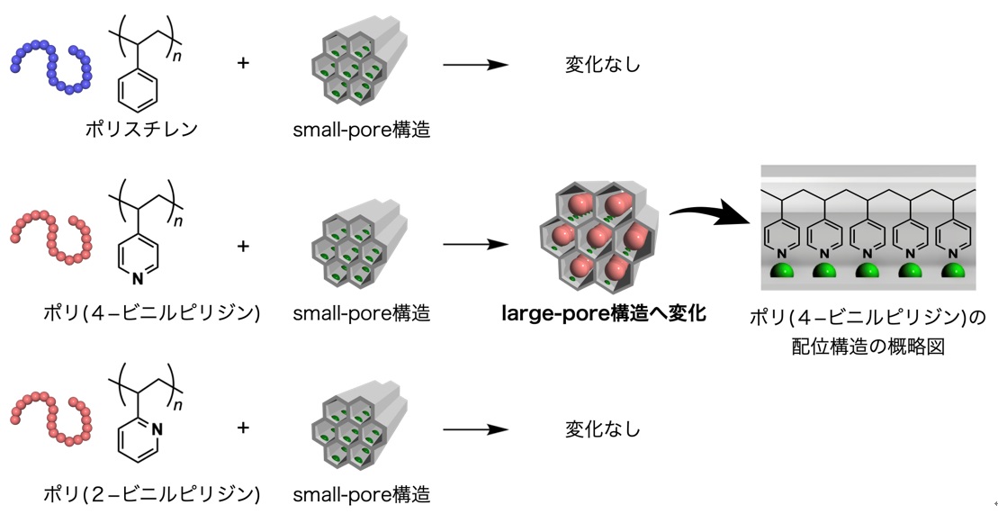 高分子に刻まれた情報を解読する新技術を開発 ―困難だった合成高