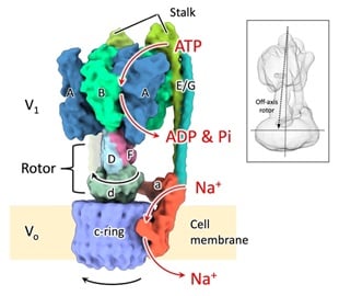 fig01