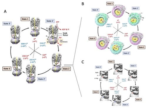 fig02