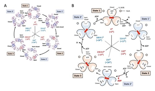 fig03