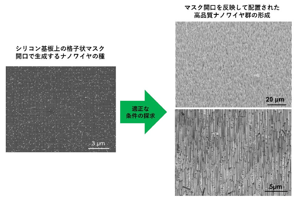 高品質の多重量子井戸型半導体ナノワイヤの作製に成功 ～熱安定
