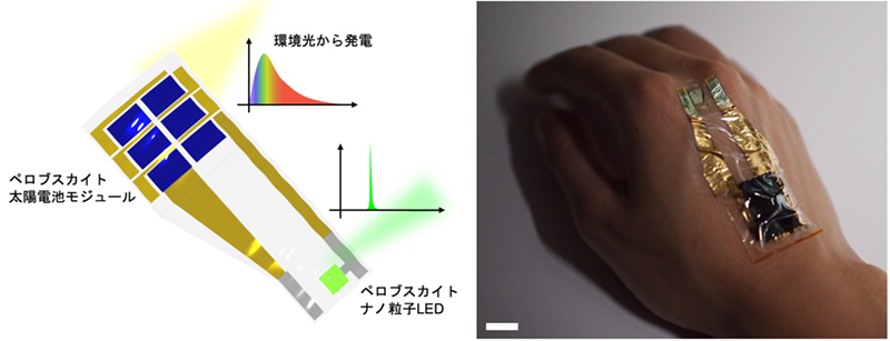 室内光で駆動する全ペロブスカイト超薄型光センサ