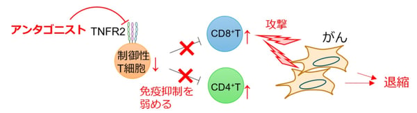 fig01