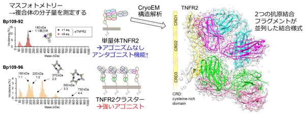 fig05