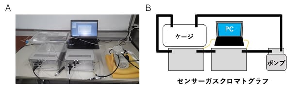 fig02