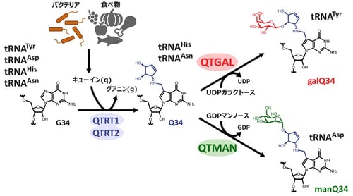 fig02