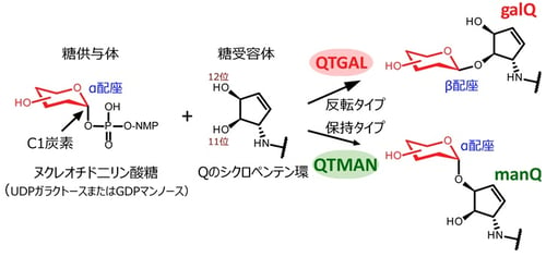 fig03