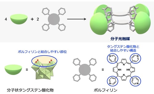 fig002