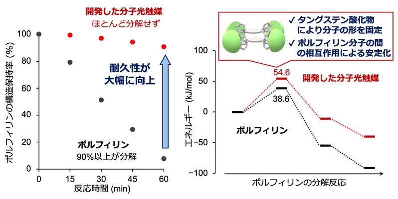 活性酸素を効率良く安定に生成できる分子光触媒を新たに開発