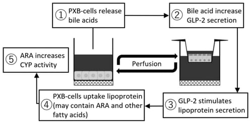 fig03