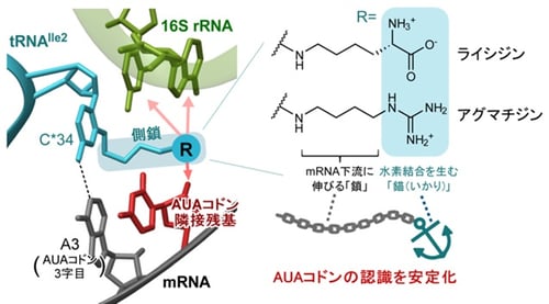 fig01