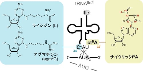 fig02