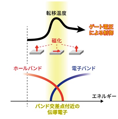 明倫館書店 / 最新 磁気解析・遮蔽設計と磁性応用技術