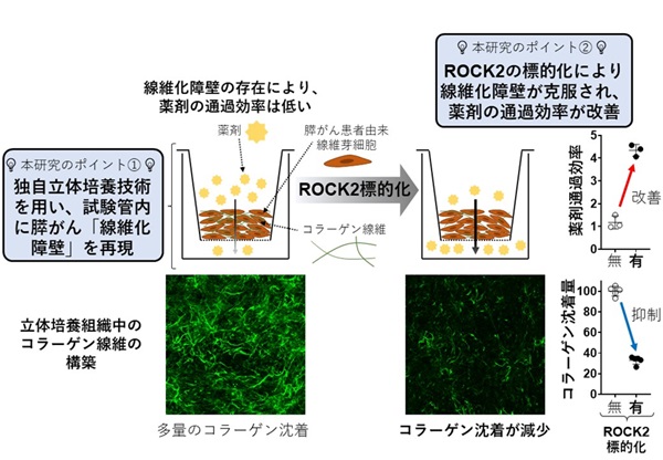 fig02