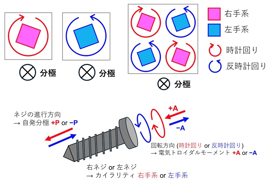 Davinci 極光帯モーメント カイラリティと電気トロイダルモーメントの結合に基づく新しい強誘電性