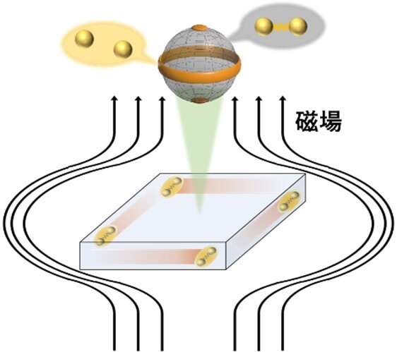 鉄系超伝導体における「第4の超伝導状態」の特異な超伝導特性とその