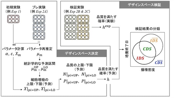 再生医療向け幹細胞培養のプロセス設計をデジタル化～数理モデルに基づくデザインスペースを実験的に検証～
