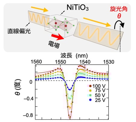 巨大な電場誘起旋光現象の観測～高効率な偏光制御デバイスの実現に向けて～
