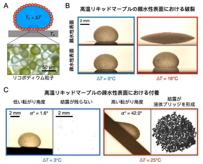 fig1