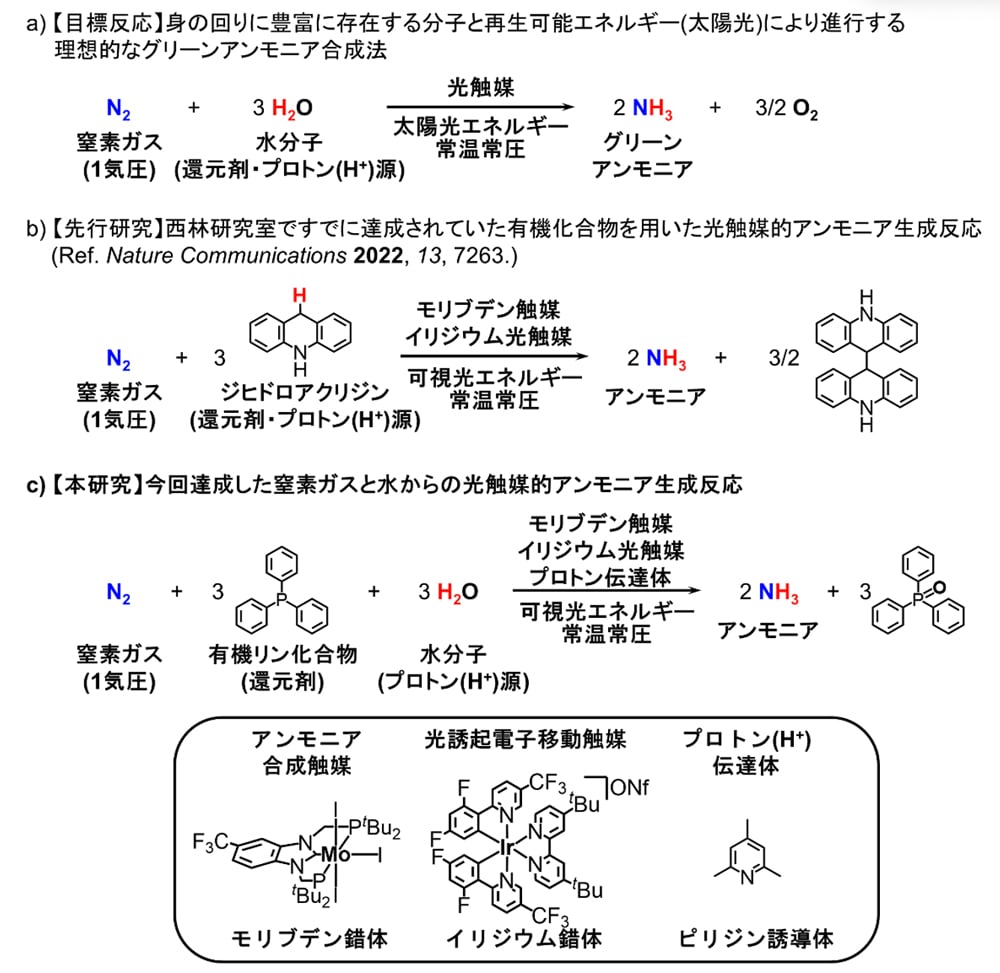 fig1