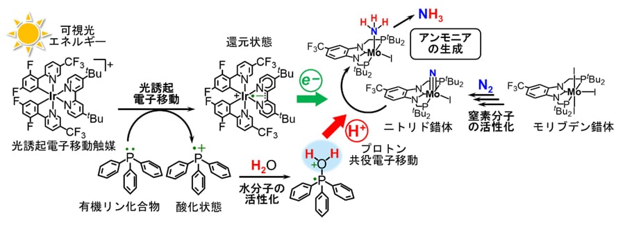fig2