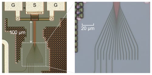 fig2