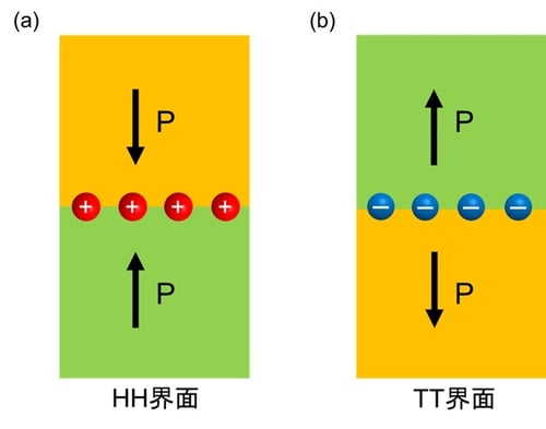強誘電体界面の電荷分布直接観察に成功～強誘電体デバイスの理解と性能向上を加速～