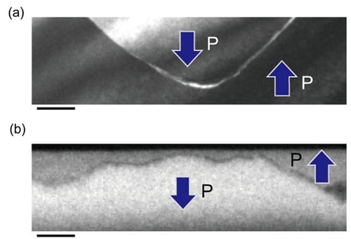fig02