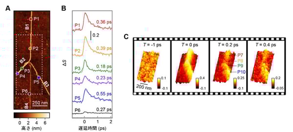 fig3