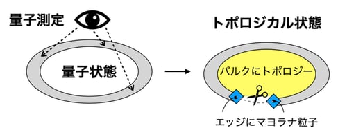 量子測定が誘起するトポロジカル相のバルクエッジ対応