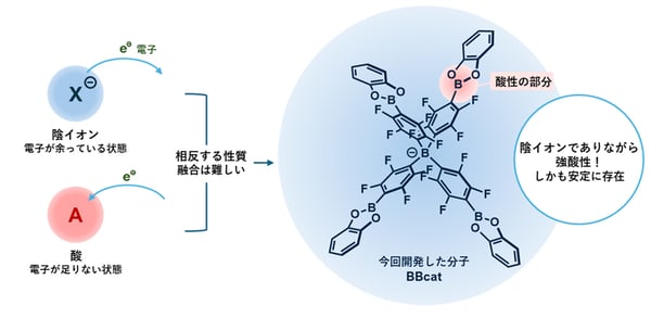 fig2